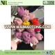 2017 new design crochet stuffed flower Toy