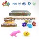 children dinosaur fossils toy eggs